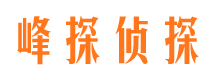 正宁市私家侦探